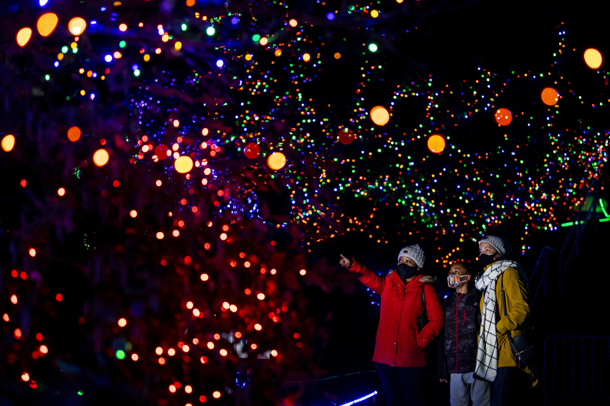  A family enjoys Zoolights at Point Defiance Zoo &amp; Aquarium in November 2020. 