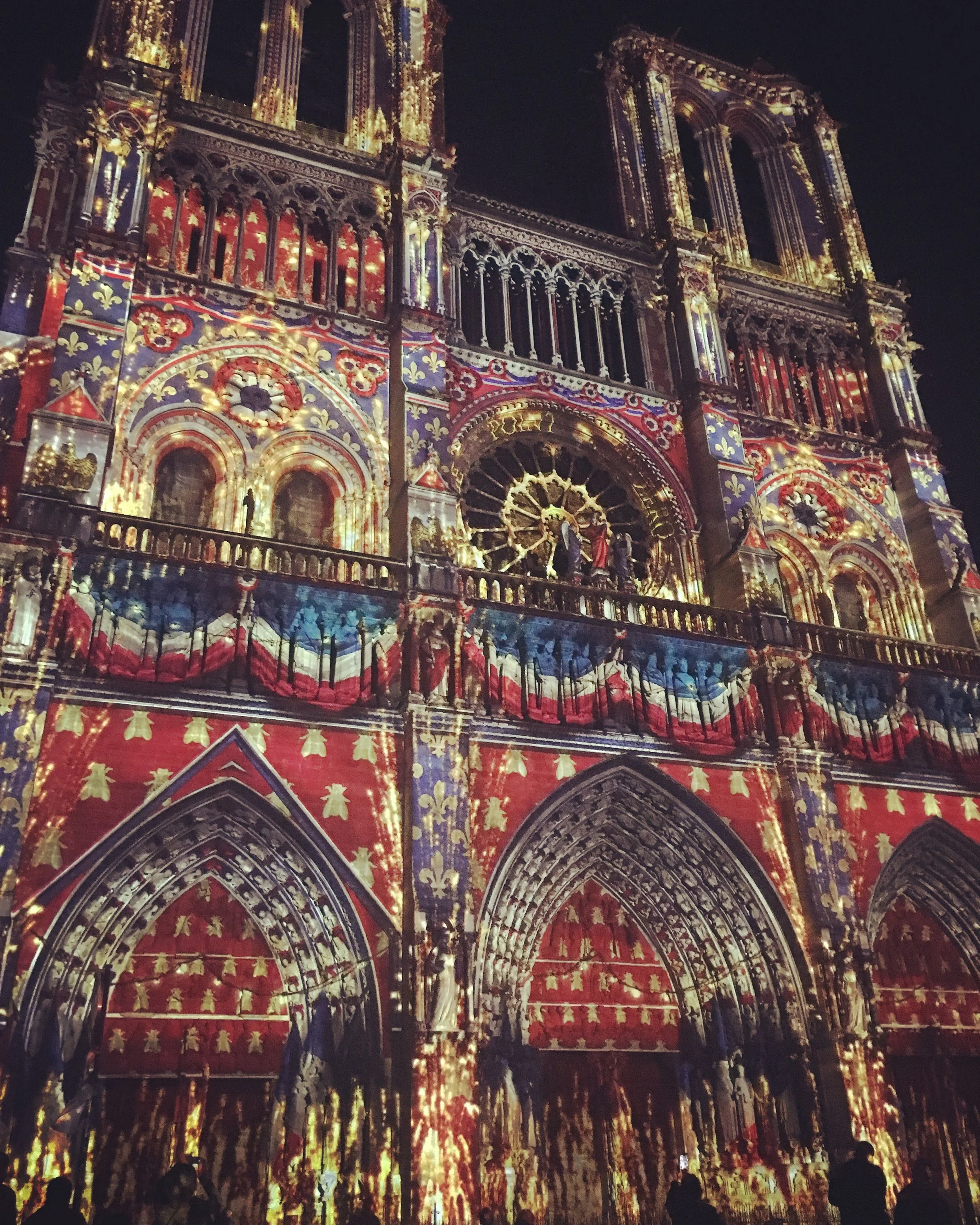 One of my favorite scenes from the Dame de Coeur light show