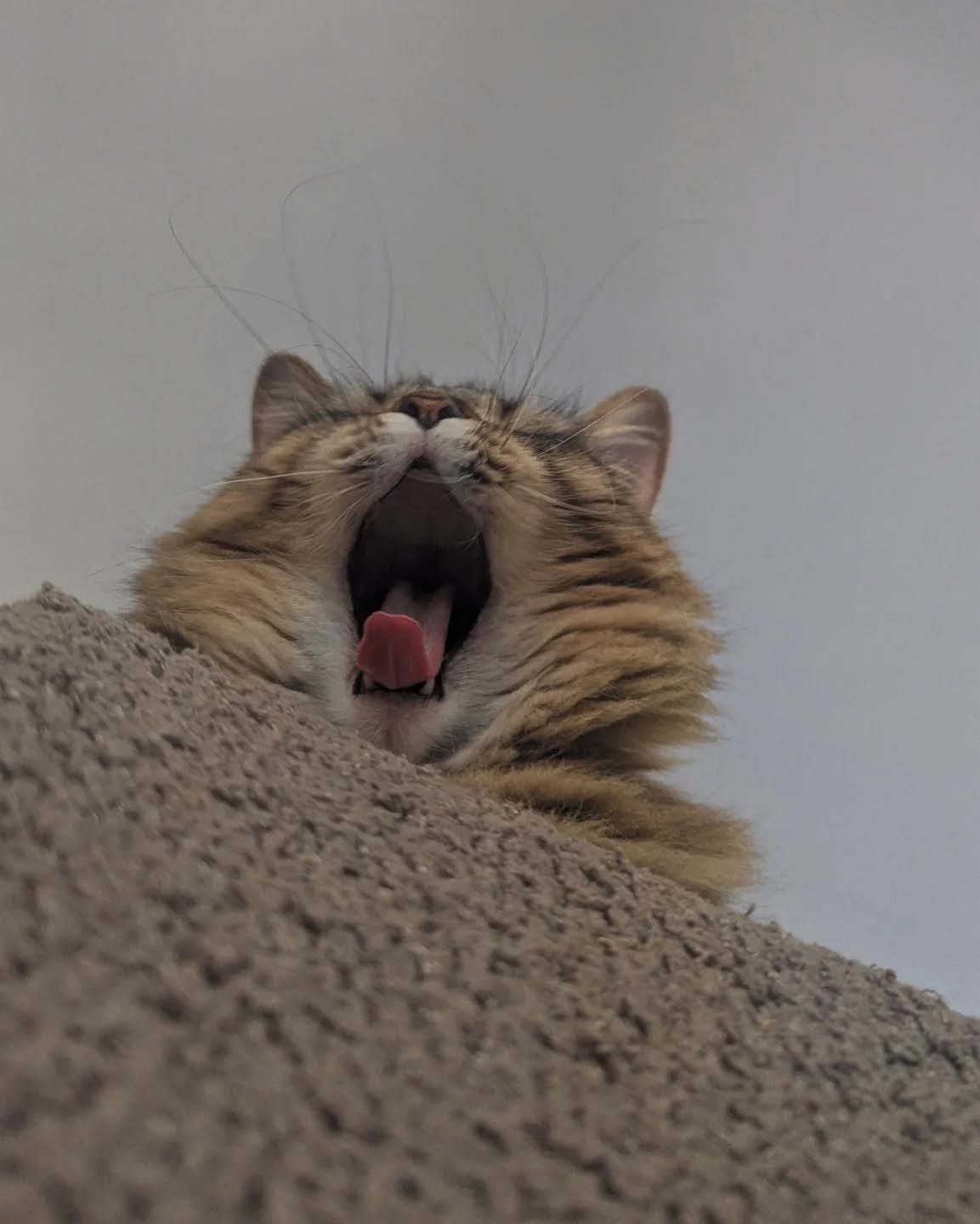 Bronwyn here reminding you not to sleep on the final hours of our holiday sale! It's your last chance to enjoy 25% off jewelry and art prints, no code needed 🤍