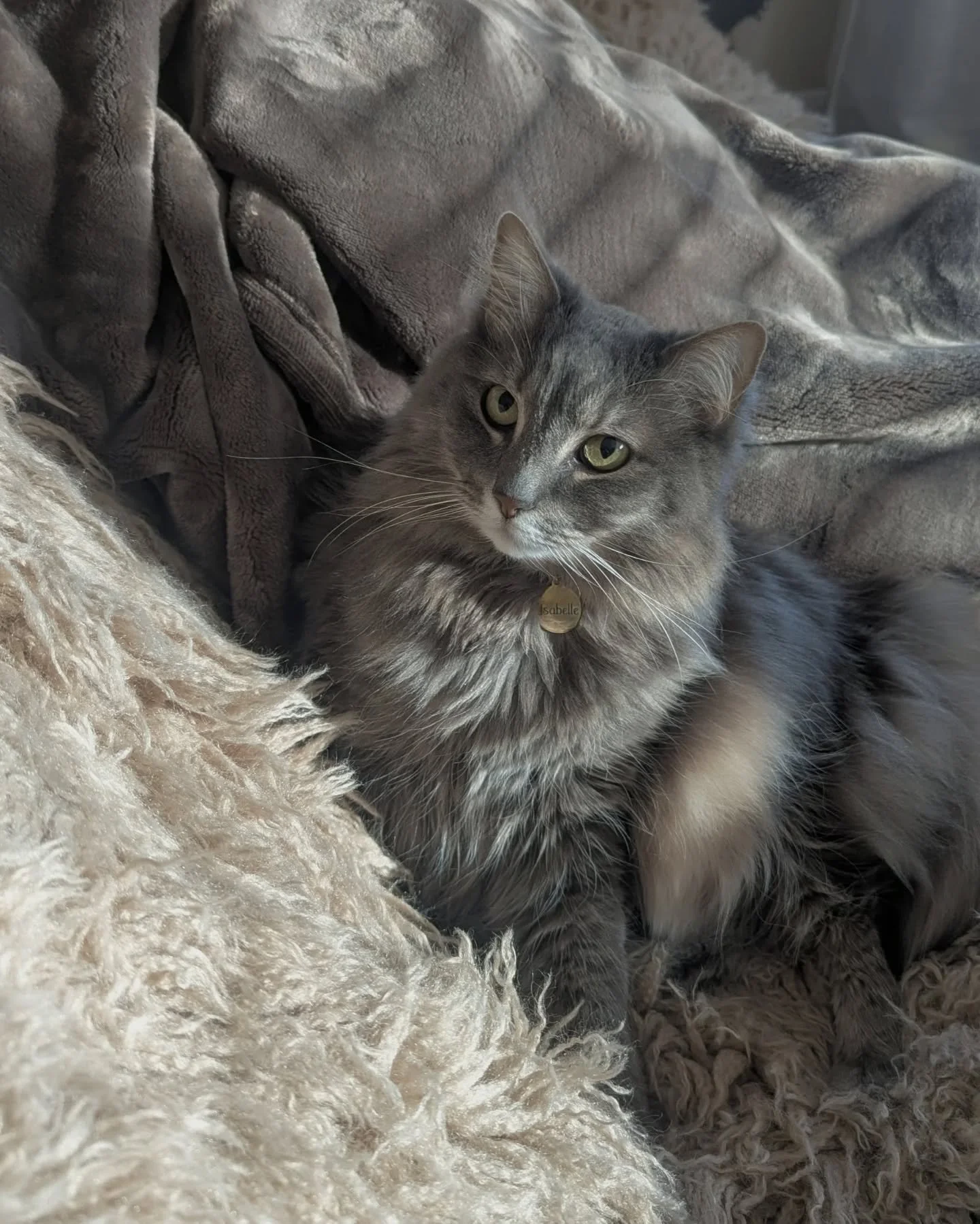 The beauty and the troublemaker 🤍