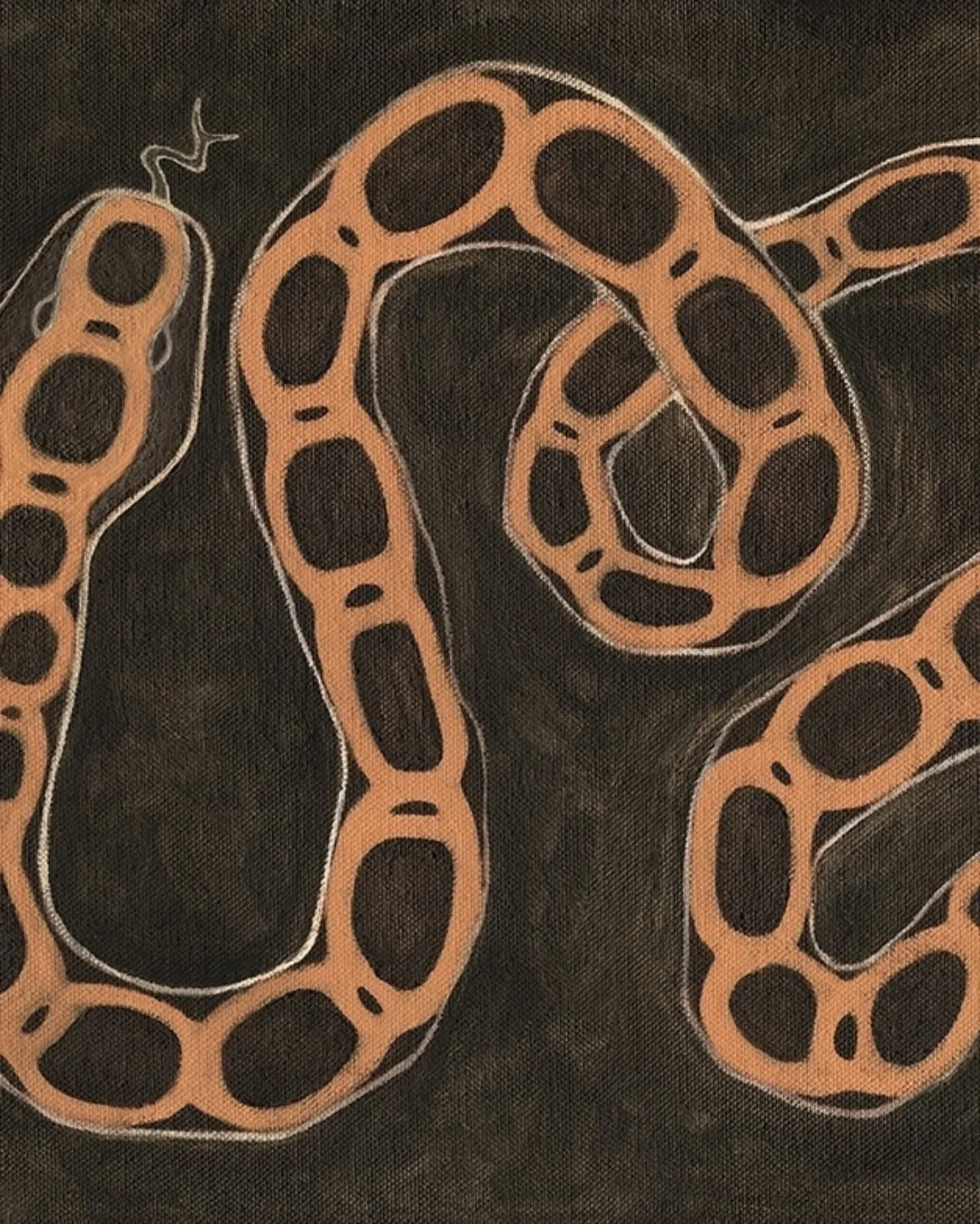 "Rat Snake"
Original painting available on my website 🤍