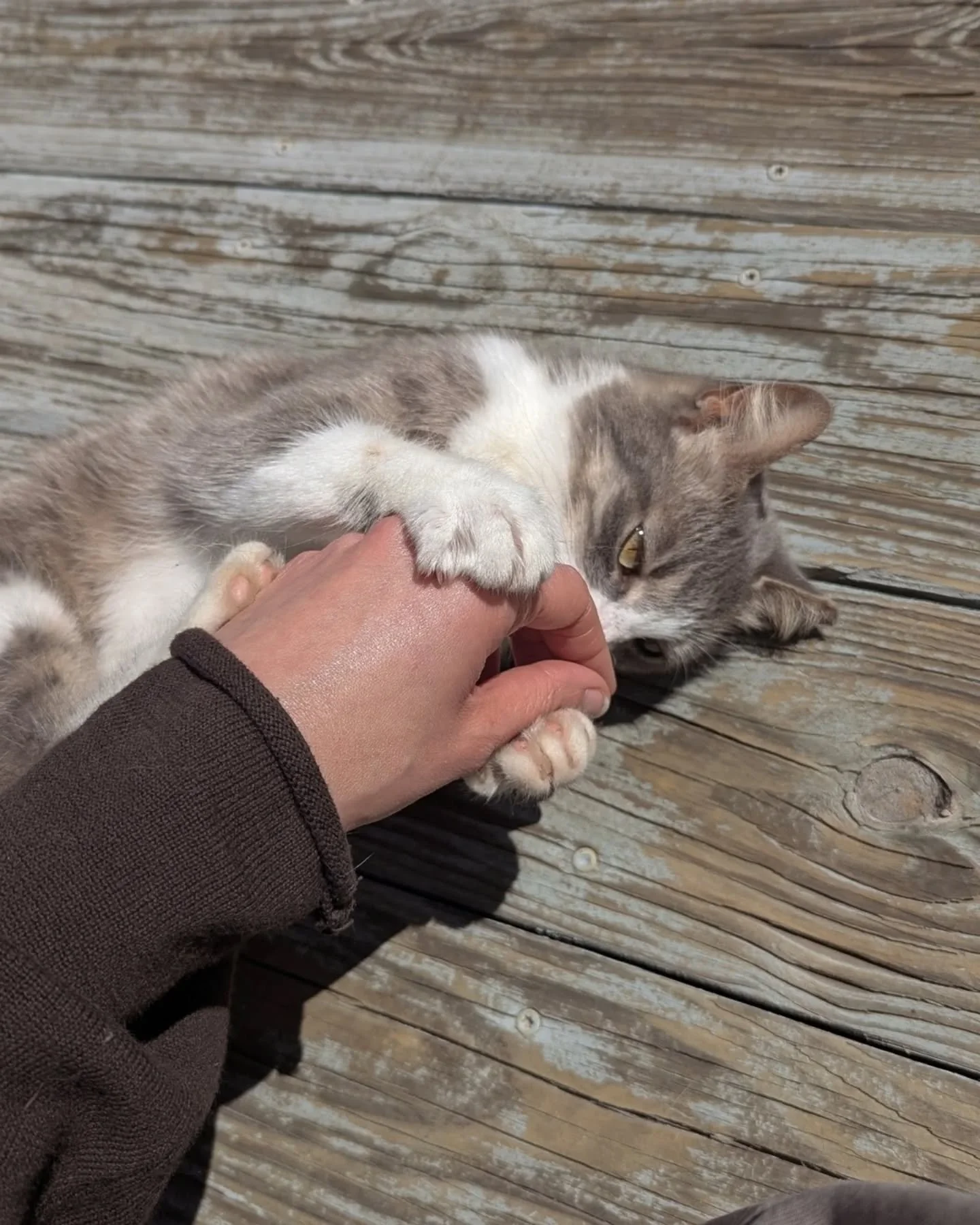 Spent the weekend on a creative retreat, giving myself some space to step away and reset. And, of course, I made a cat friend 🤍
I always come back from retreats feeling a little lighter and a little more connected to the work.