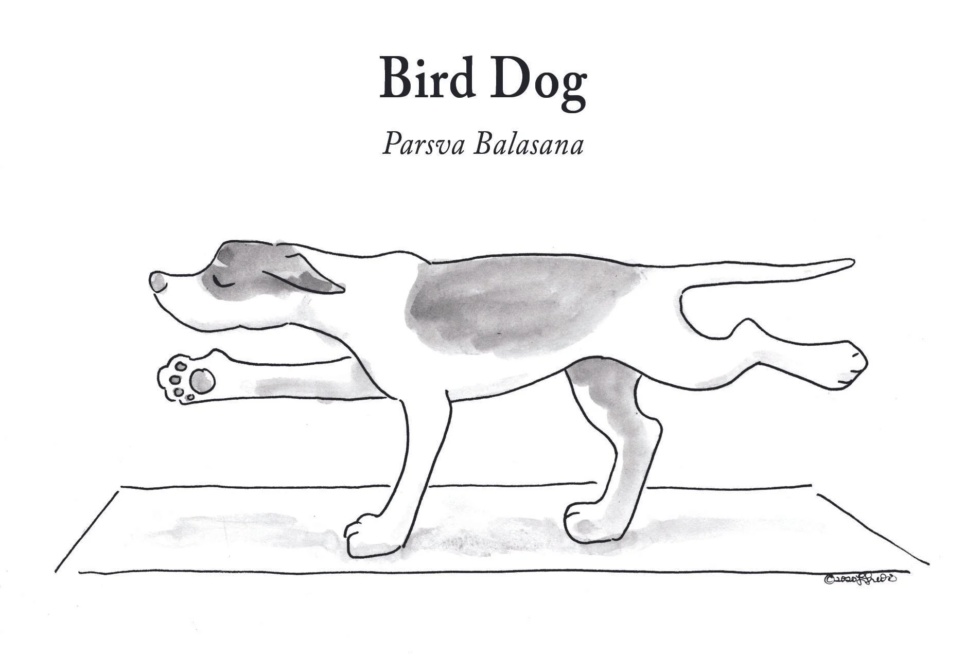 Welcome to the Floor, Let's Stay There