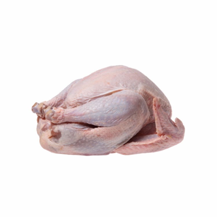 turkey_new__51744.1497575461.1280.1280.gif