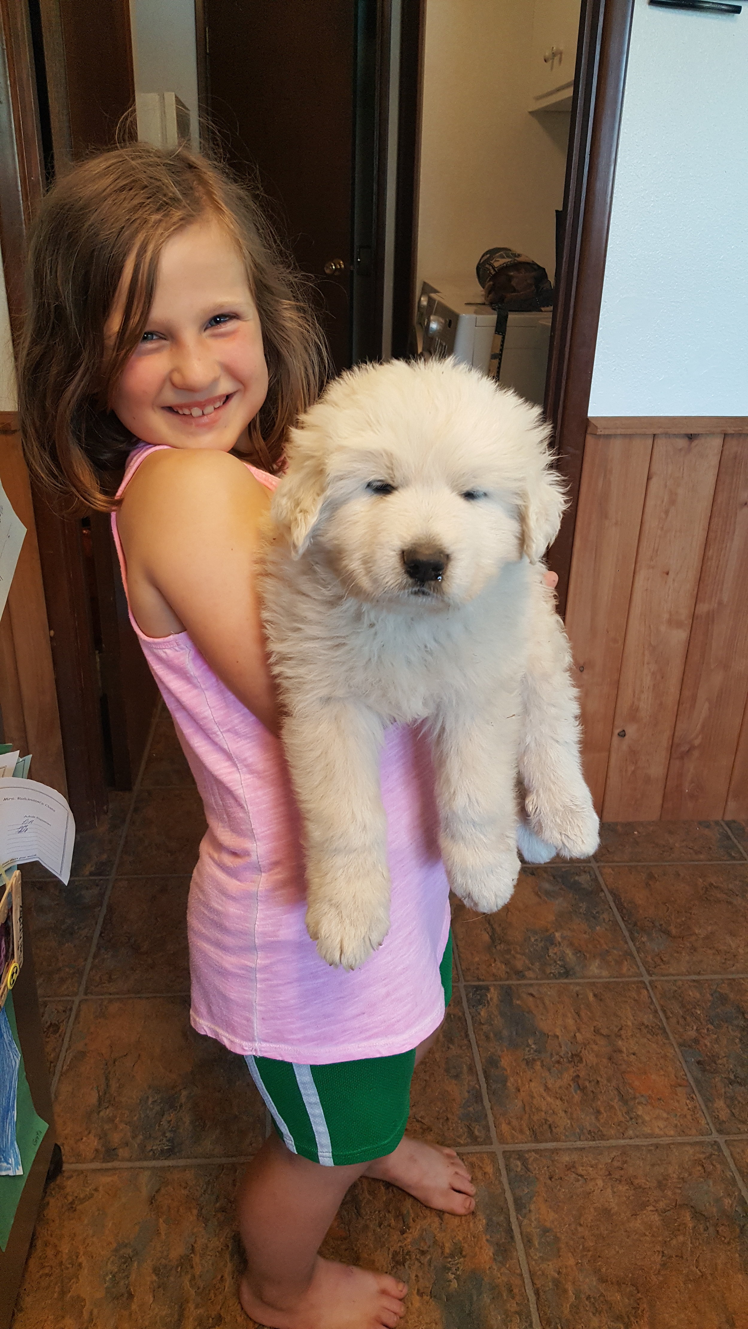 Puppy and Greta 5.13.16.jpg