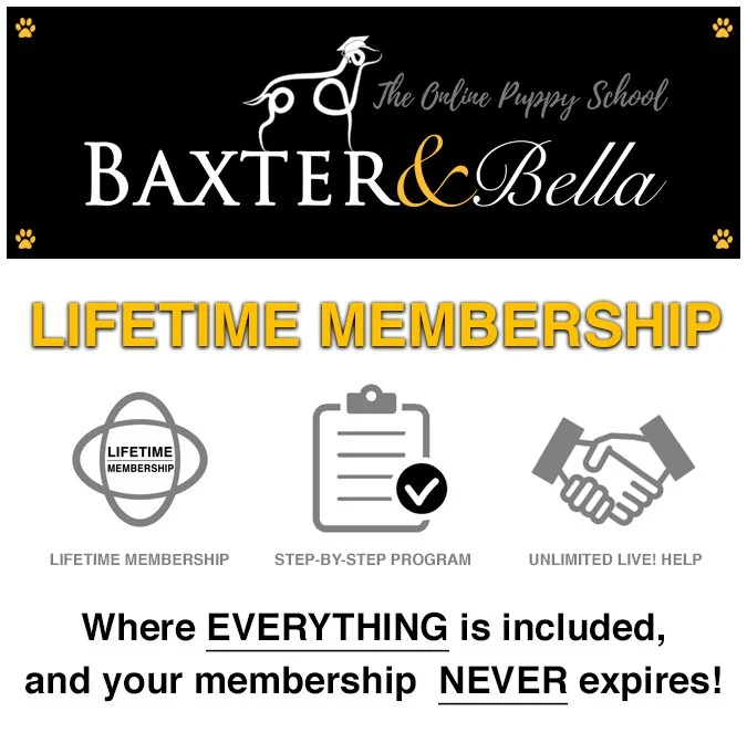 Baxter & Bella Online Puppy School Lifetime Membership 25% Off Discount