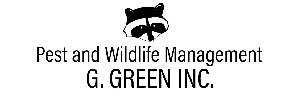 G Green Inc. Pest and Wildlife Management