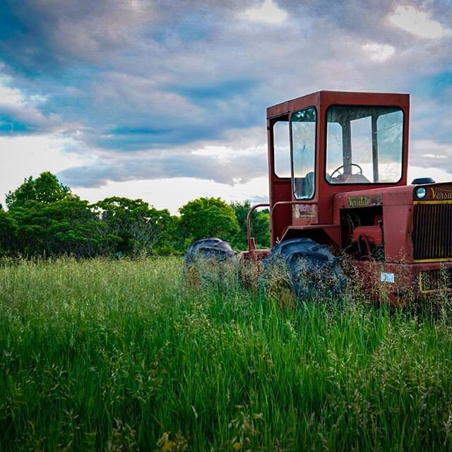 Some farm fun pictures to end the day. I love where we live, we are able to end most days with a sunset over the rolling hay fields. #lovewhereyoulive #farm #hayfield #sunset