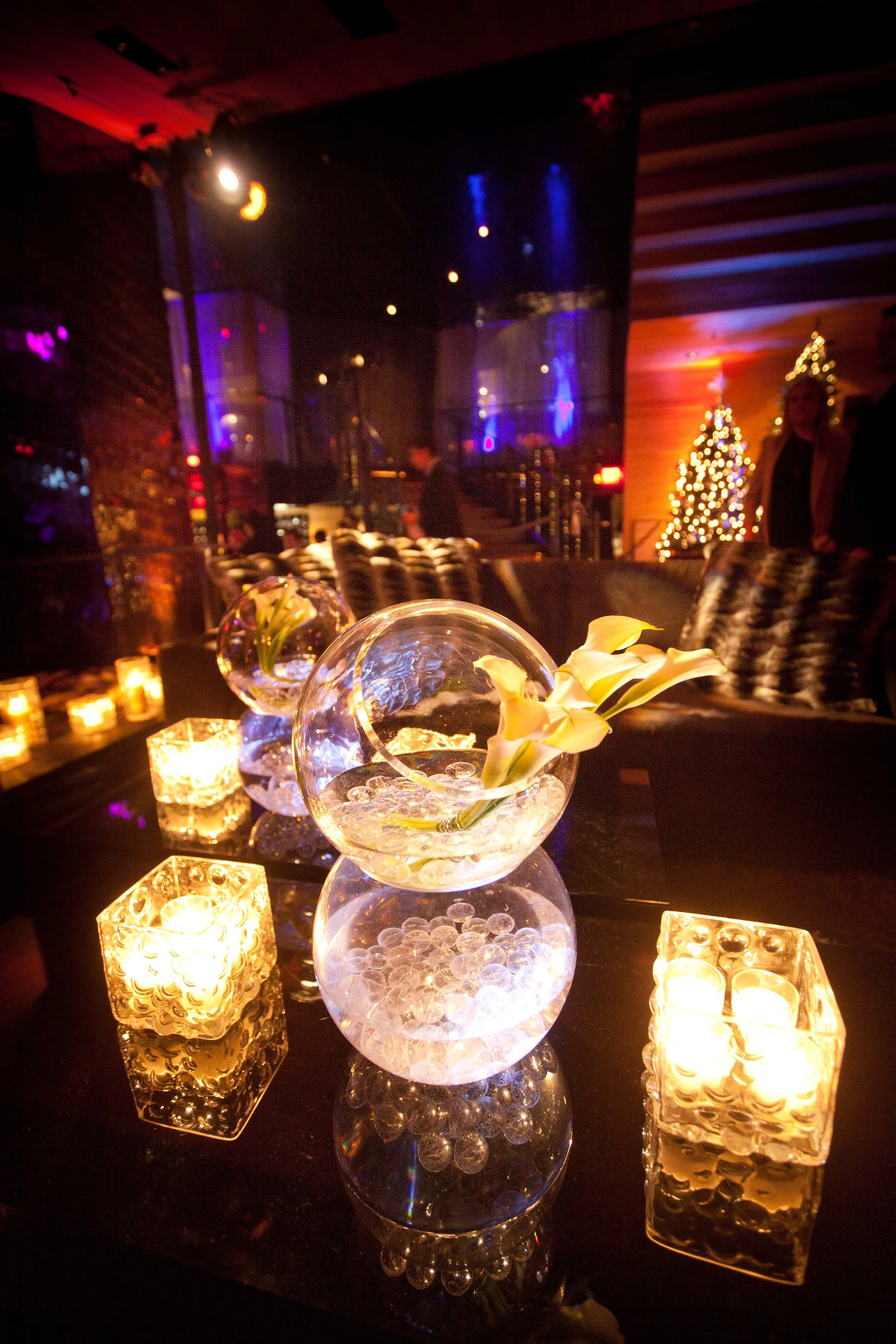 Hollywood Birthday (11).jpg
