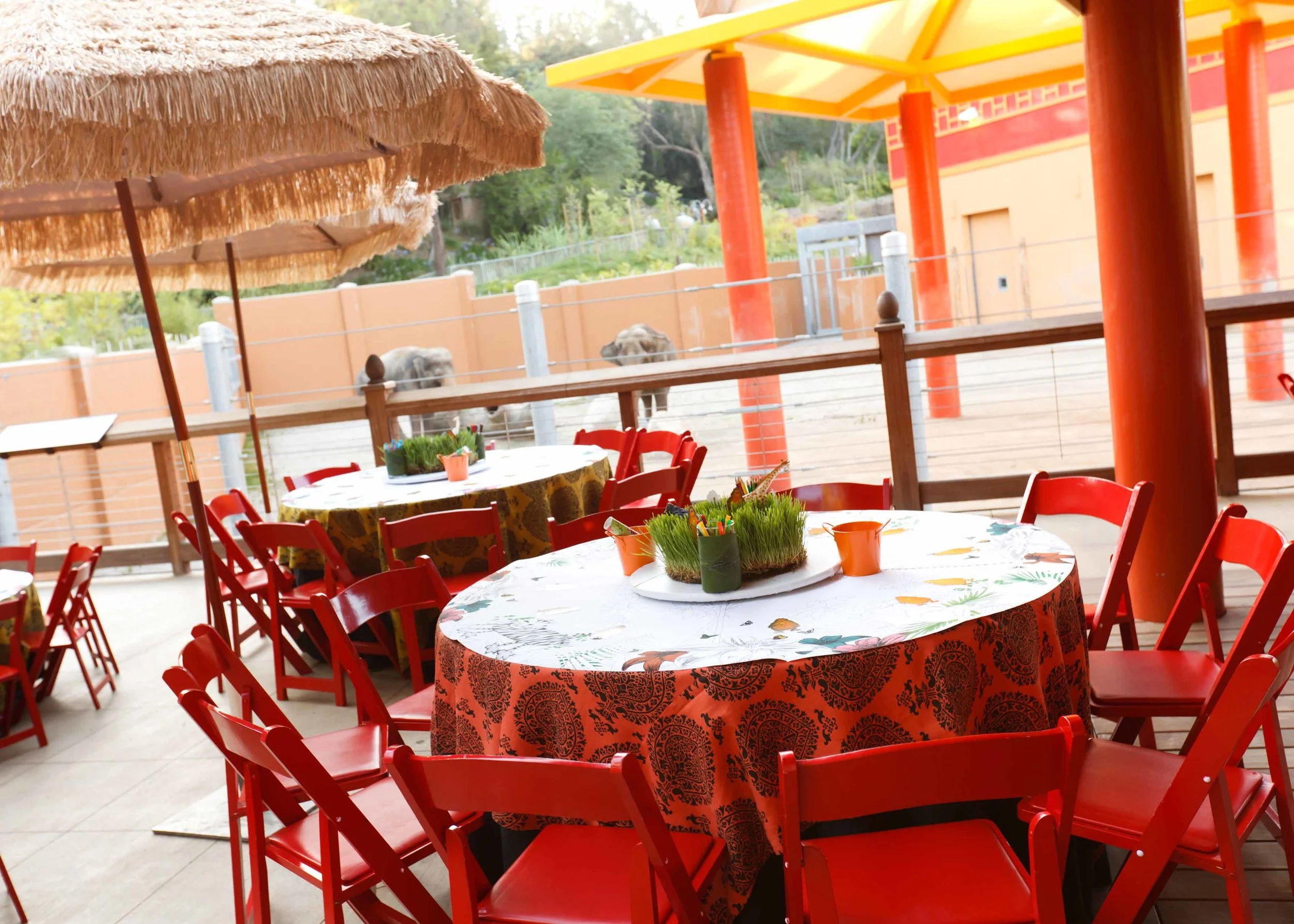 149_IES_Oaktree Summer 2011.jpg