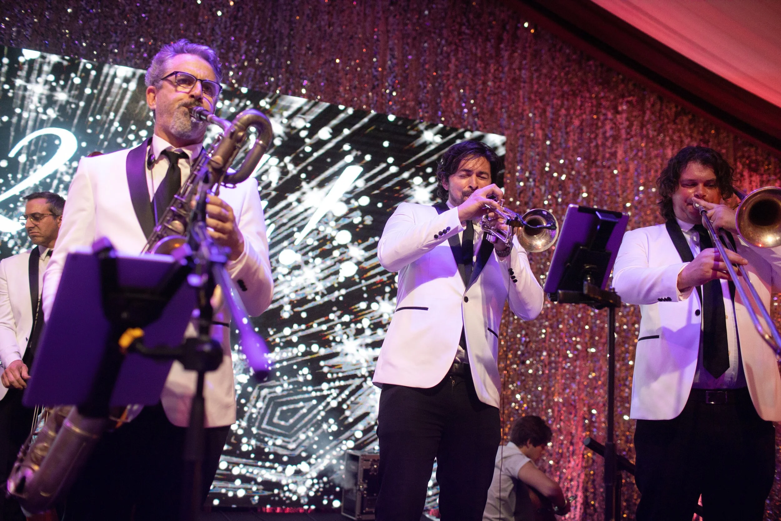 Shimmering Night of Black and Silver 52.jpg