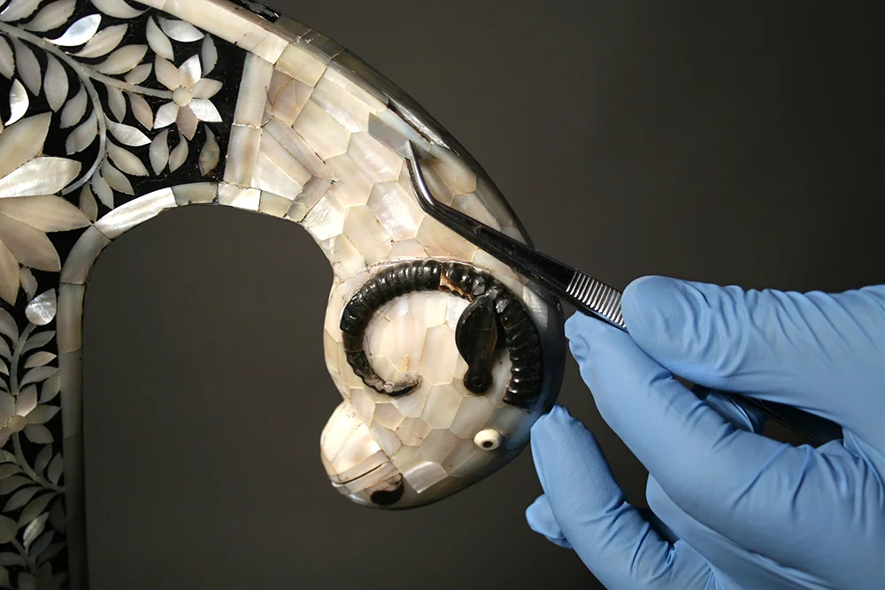 Mother-of-pearl klismos style chair - ram head detail; during conservation
