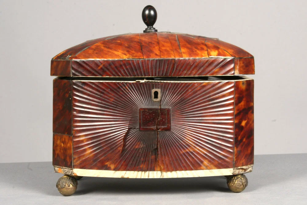 Tortoise Shell Objects