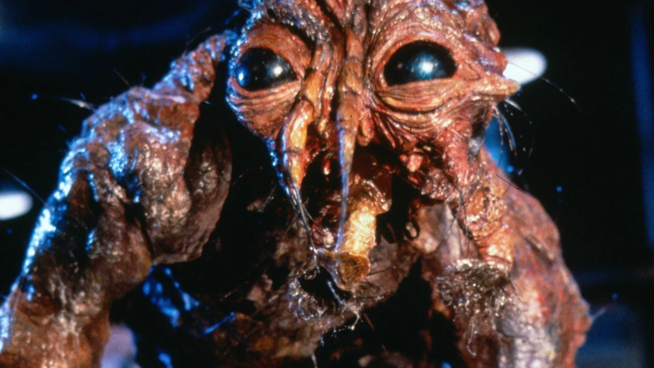 Bad Girls Die First: Horror Podcast - The Fly, Jeff Goldblum