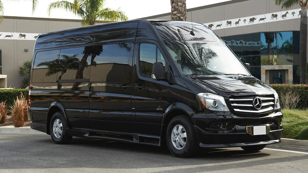 sprinter palm trees.png