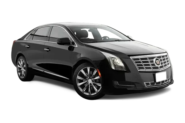 xts small webp.webp