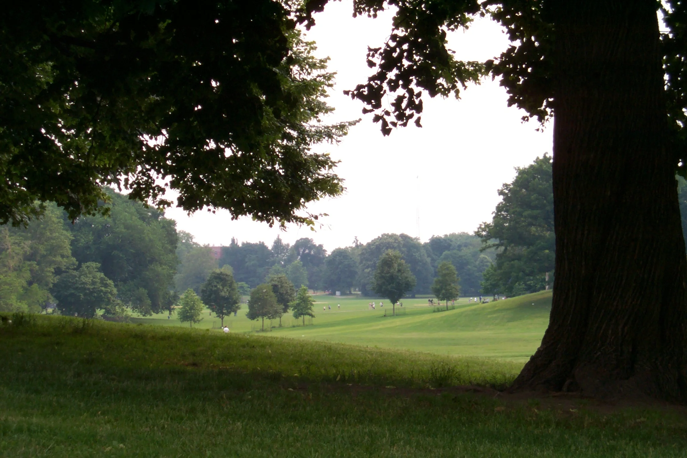 F.L. Olmsted-Prospect Park, Brooklyn.jpg