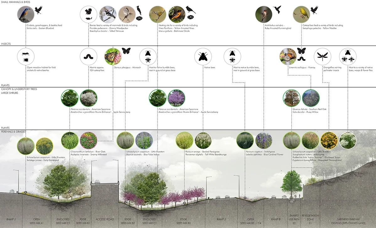 01-Access%2BRoad%2BEcotones-Section%2Bwith%2BSpecies.jpg