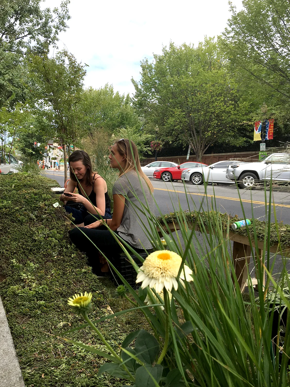 04b-Parking Day 2016-Turfs Up Park.jpg