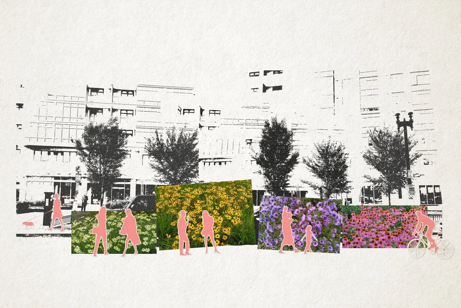 Collage_Proposed_2.jpg