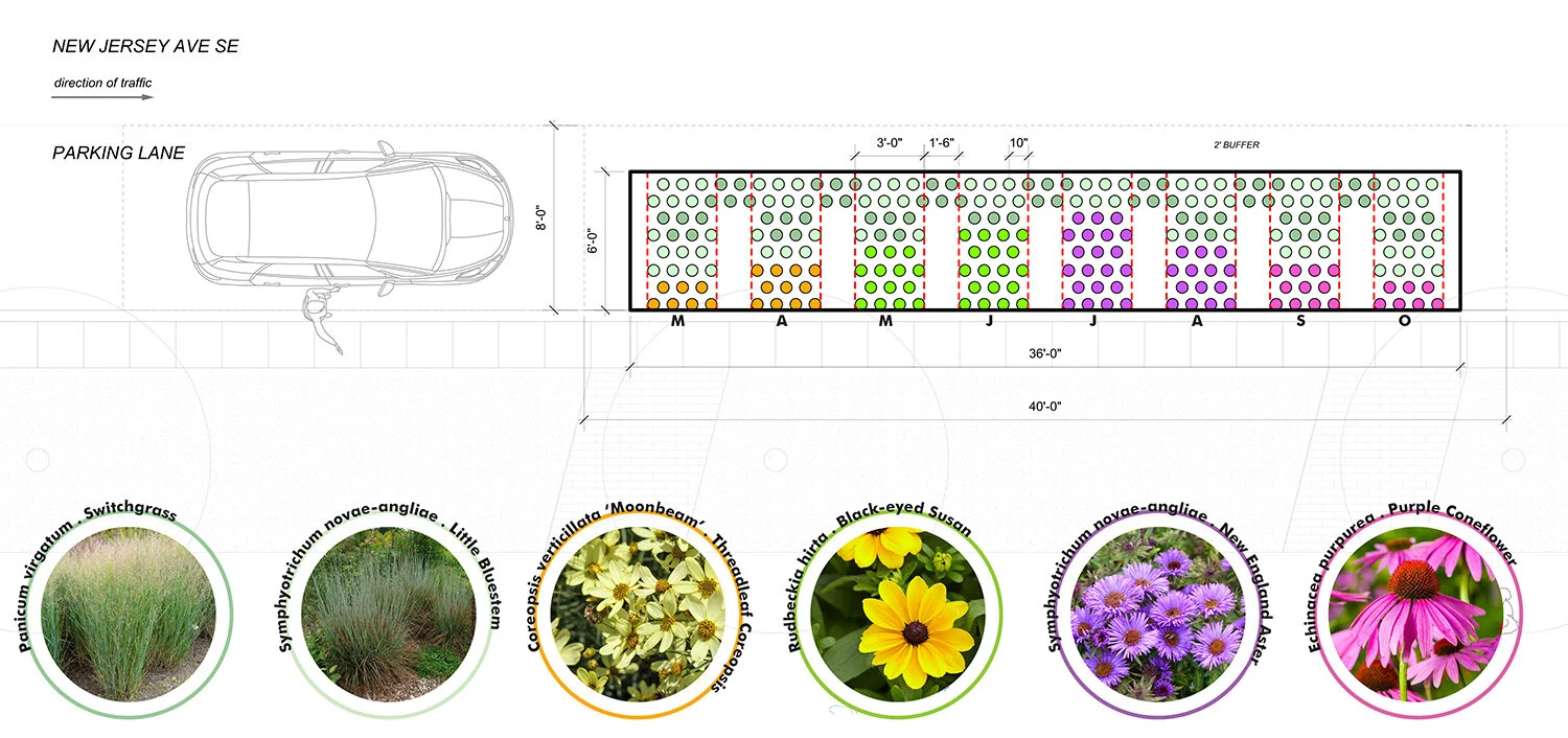 08-Parking Day 2019-Layout.jpg