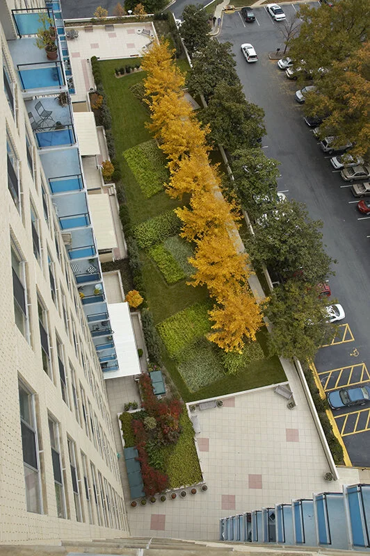02a-Grosvenor-looking down.jpg