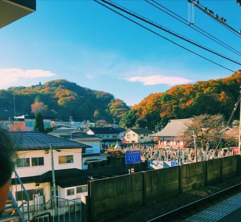 Watching the city become hills and forests.