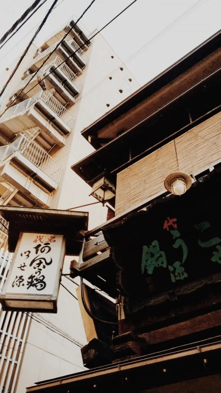 A Perfect Country?: Japan