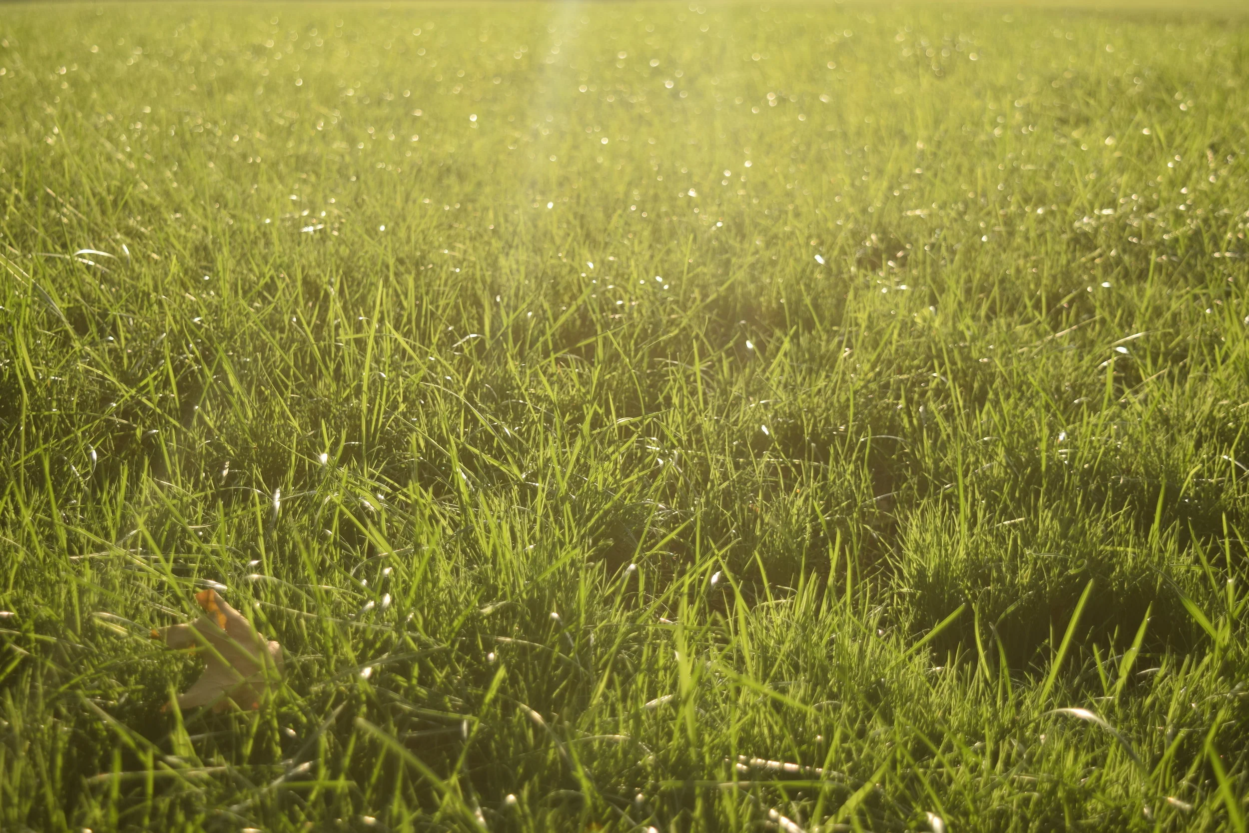 Why You Should Write