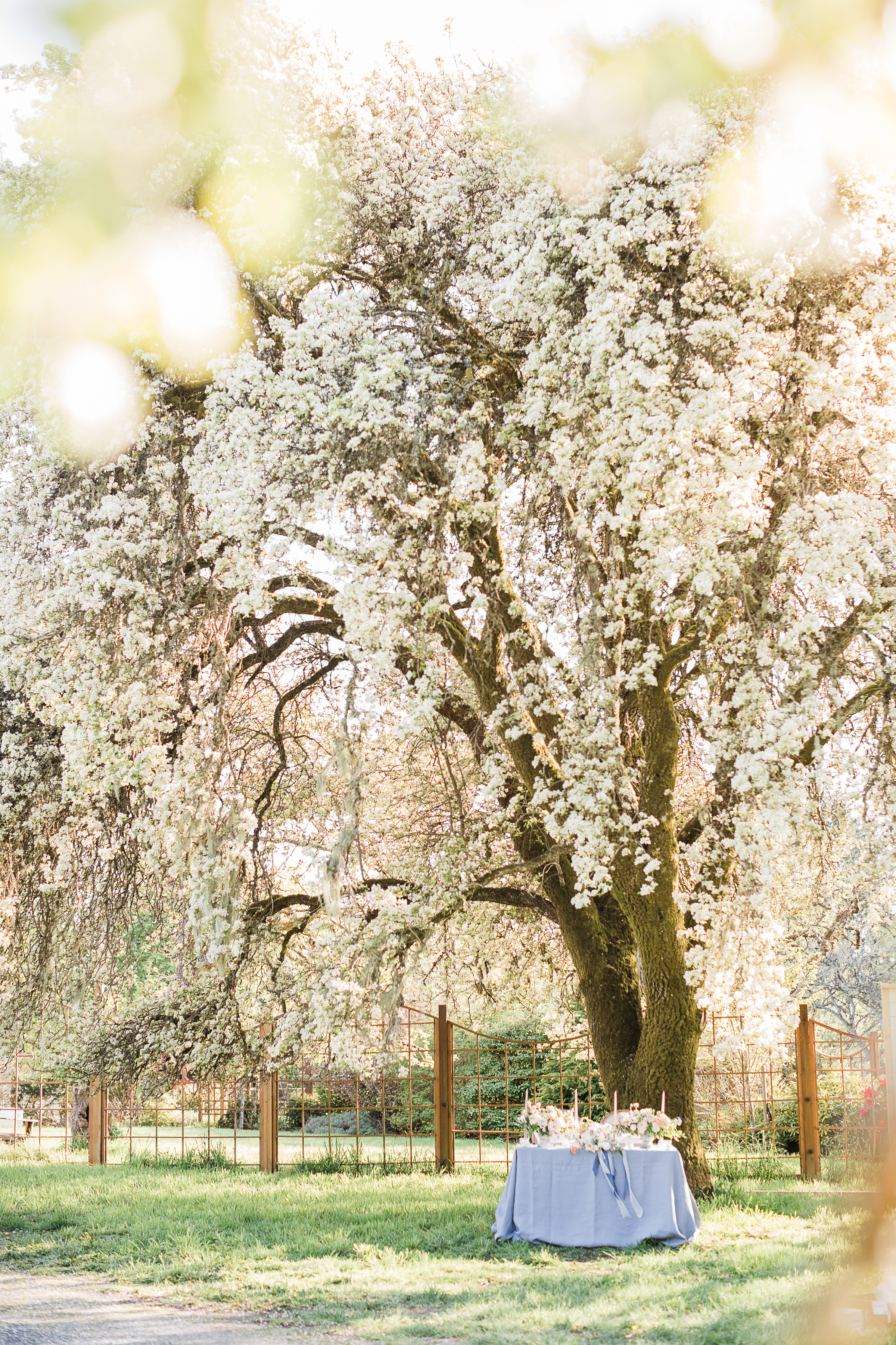 TeganMcMartin_BilstonBlossomRomance-009.jpg