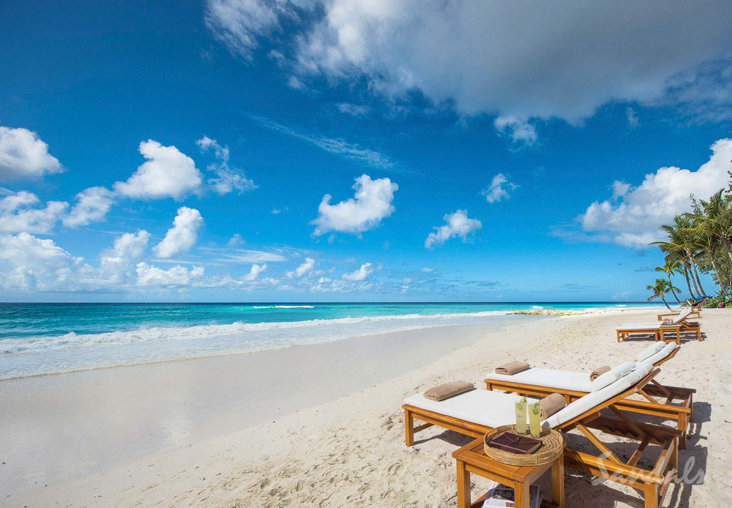  You could be basking in the sun. 