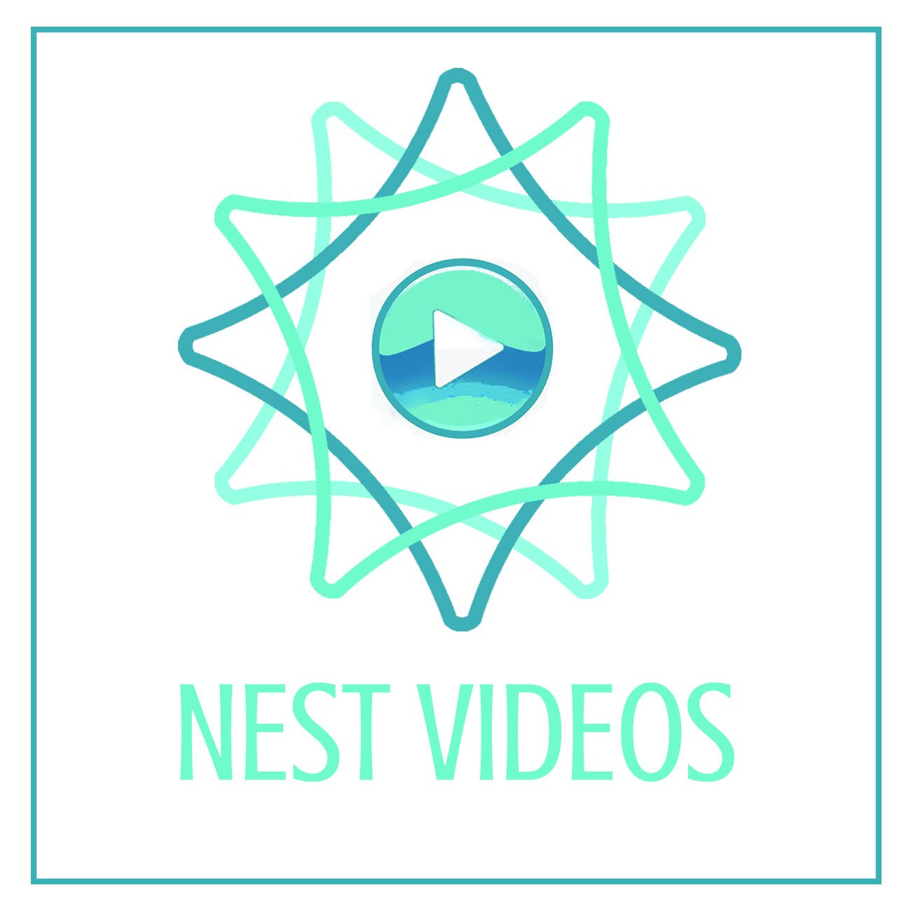 Blue Nest VIDEO Logo Icon.jpg
