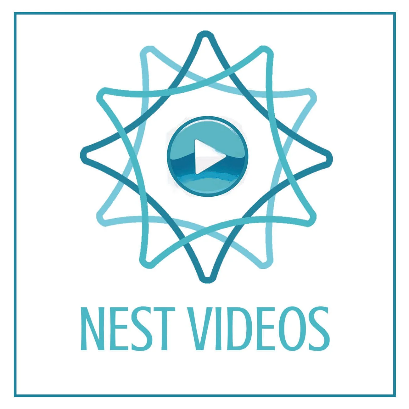 Blue Nest VIDEO Logo Icon.jpg