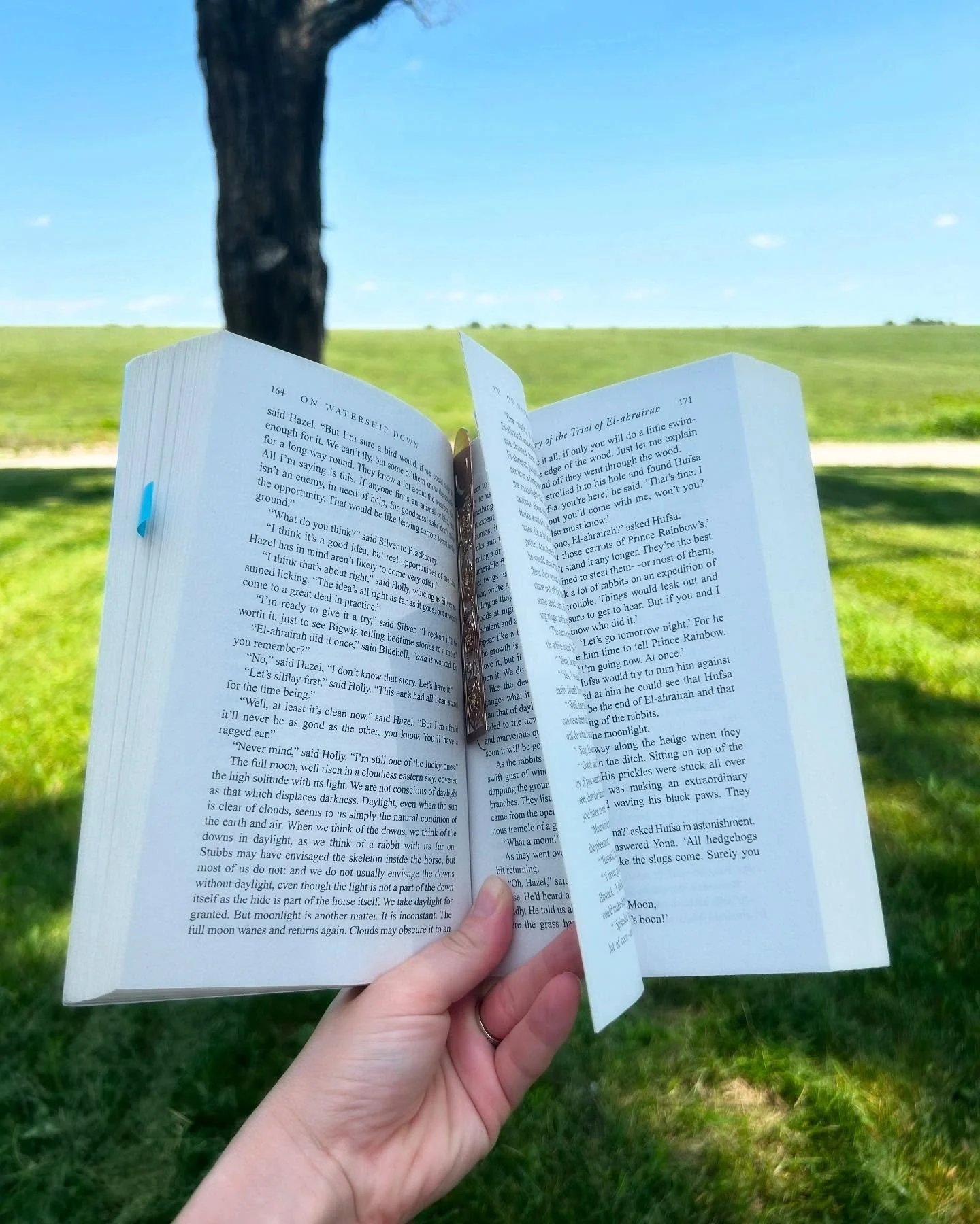 I hopped on to post a general life update, and realized today is my one-year anniversary on “writergram.” 🤯
A year ago I created this account on a whim. I wanted to document my writing process and most of all, learn from other authors.