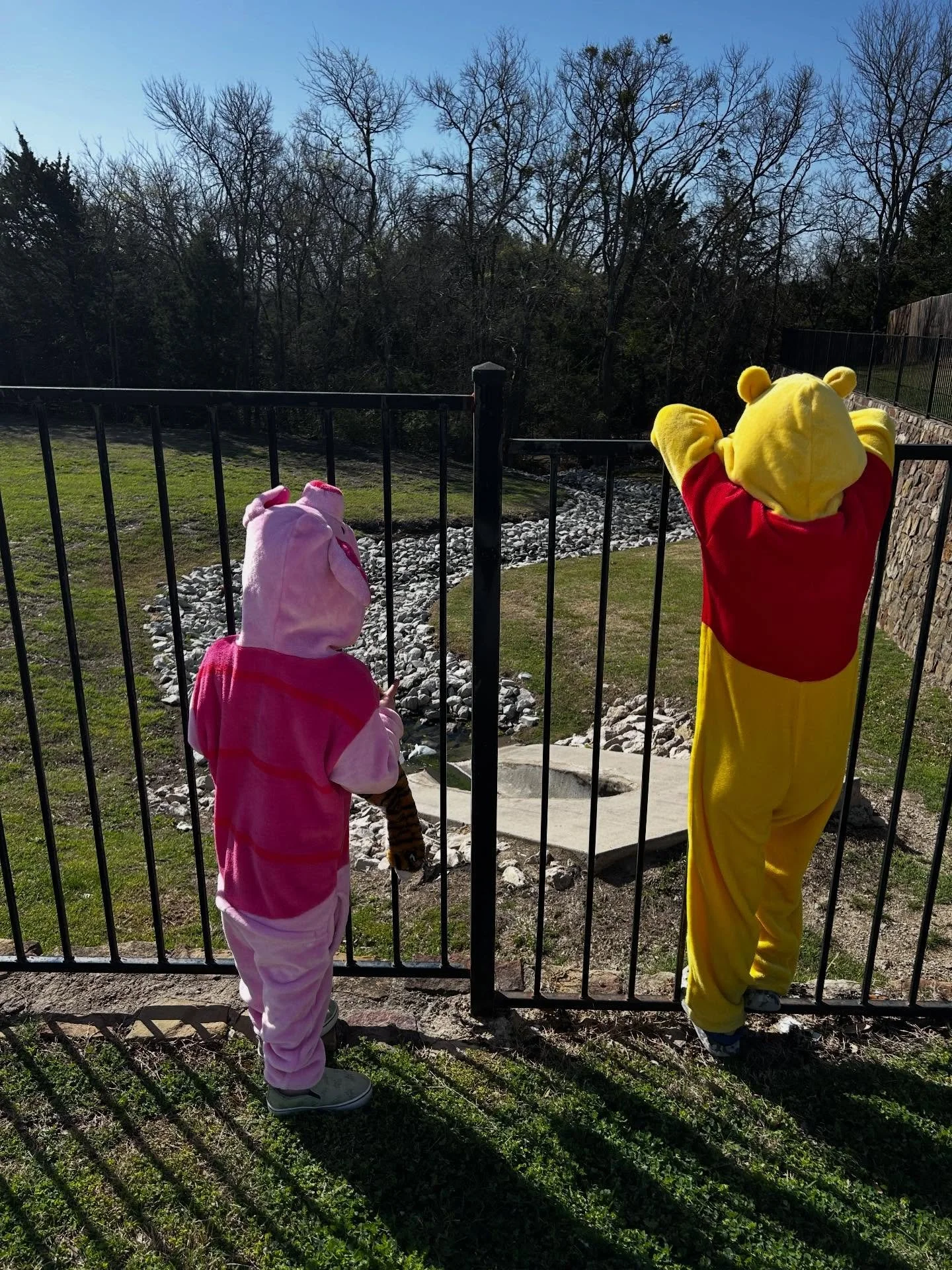 Typical morning. Pooh and Piglet hunting Heffalumps as usual&hellip;no sightings yet. 

Meanwhile, the family dog is pretending to work on his reading skills, but honestly, a nap is more likely. 

✏️✏️✏️

Hi, I&rsquo;m L. J., a homeschooling mom, lov