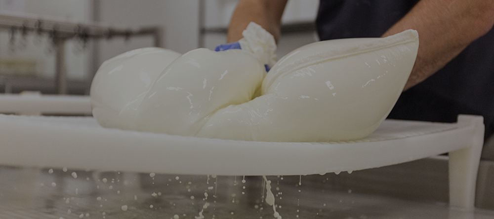 cheesemaking.png