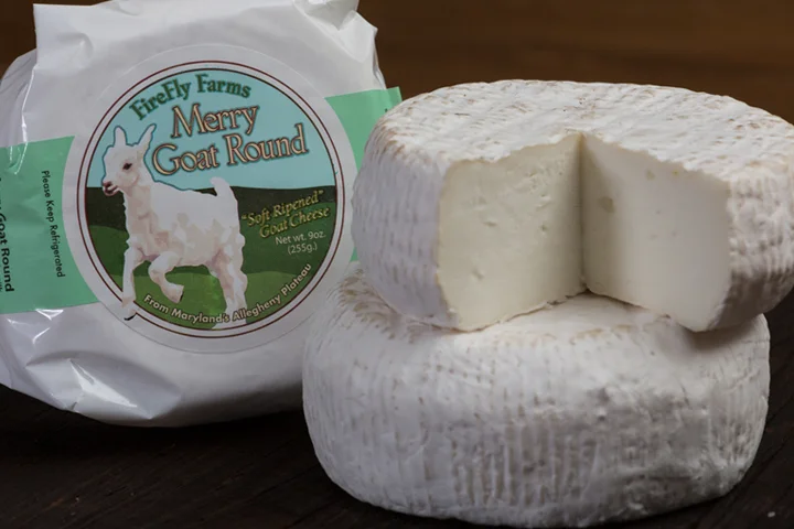 cheese_0001_MGR.jpg