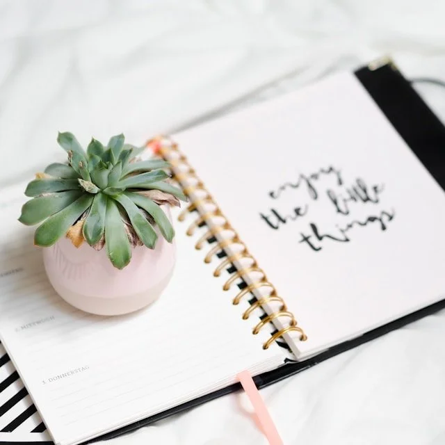 Monthly goal setting is critical to achievement in university.