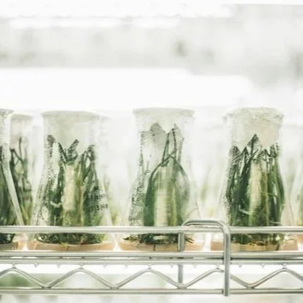 Biological Sciences