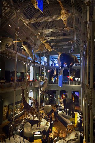 Edinburgh Natural History Museum.jpg