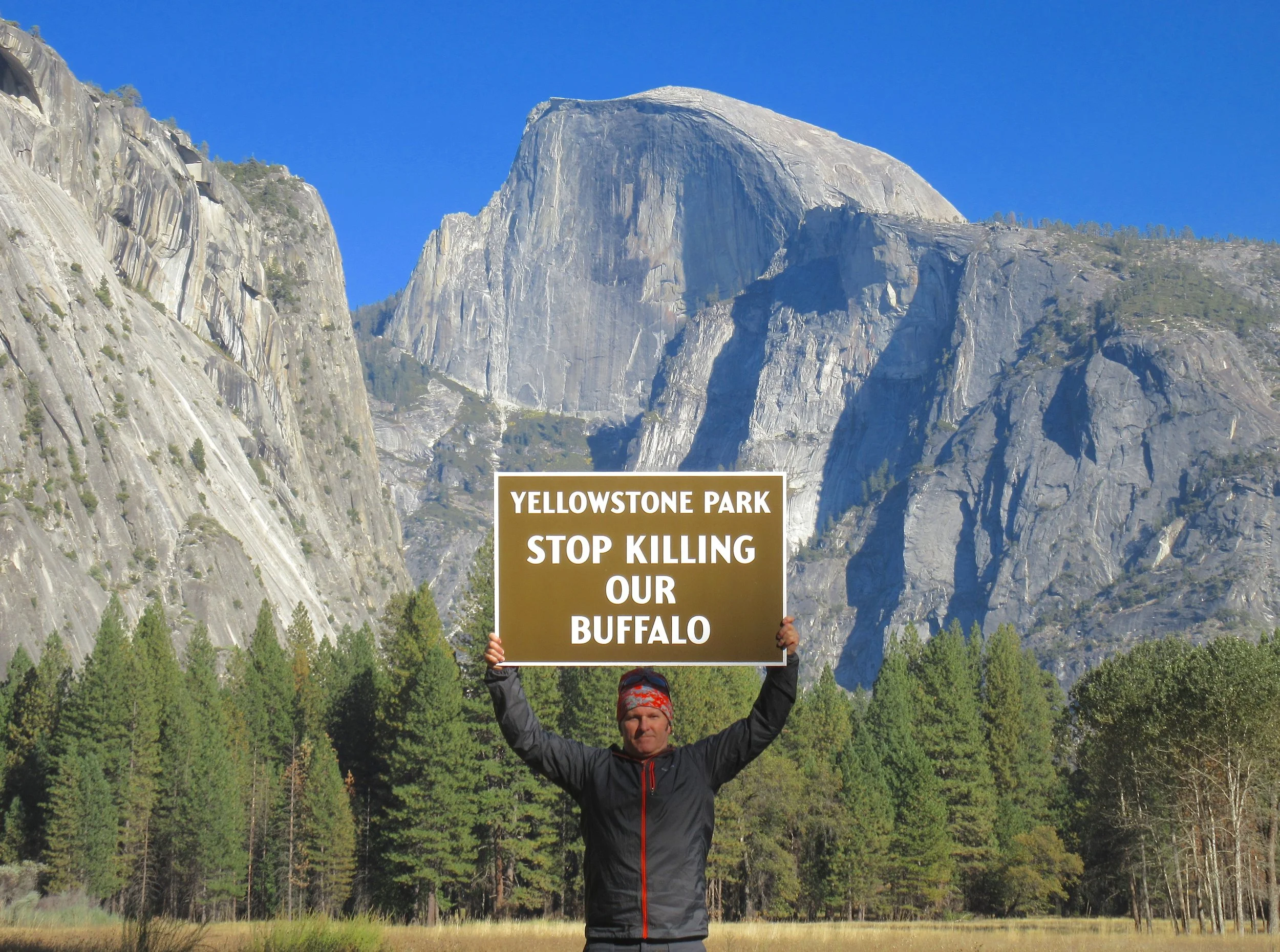 Protesting Yellowstone National Park Buffalo Killing