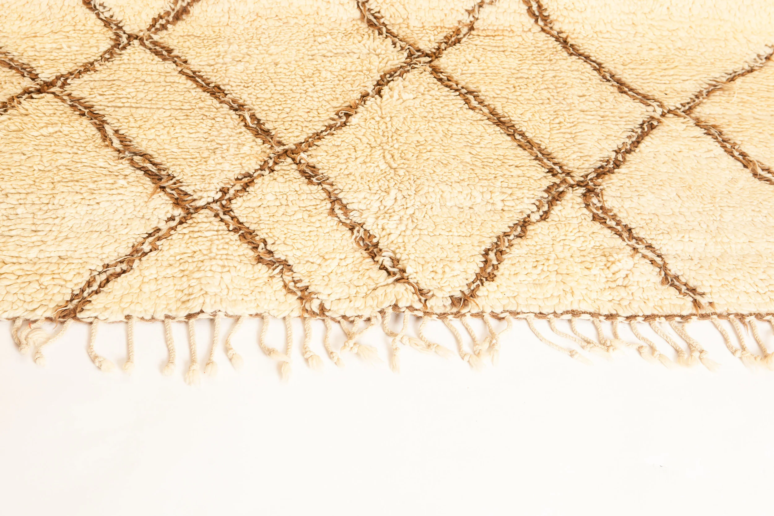 Ali_rugs_DEC-61.jpg