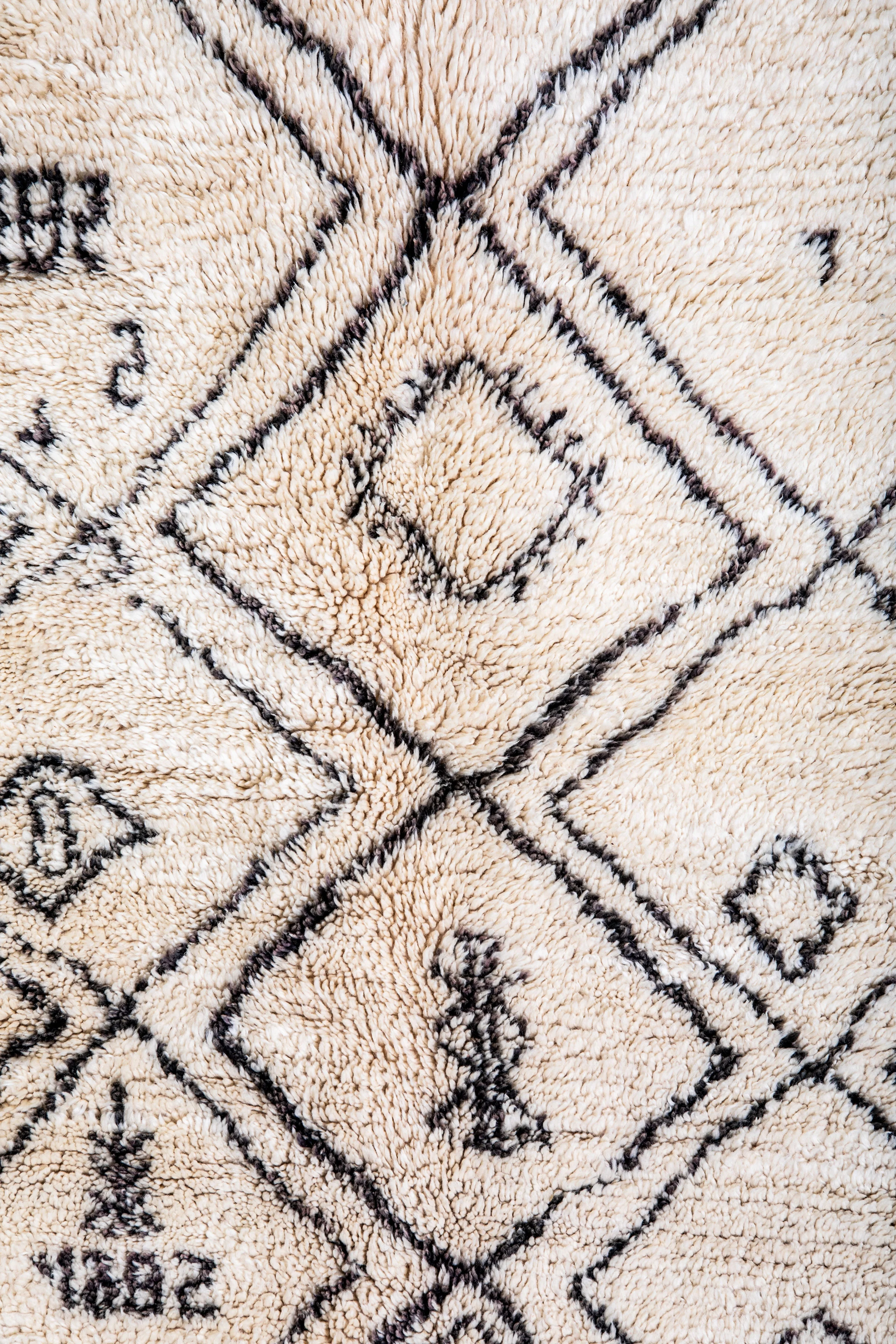 Ali_rugs_Dec_9_2018_DougCupidPhotography-82.jpg