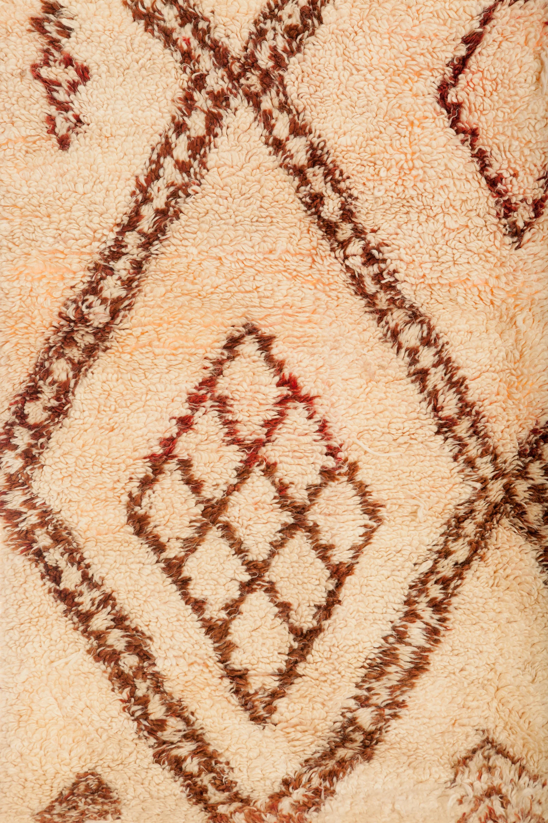 Ali_rugs_DEC-6.jpg