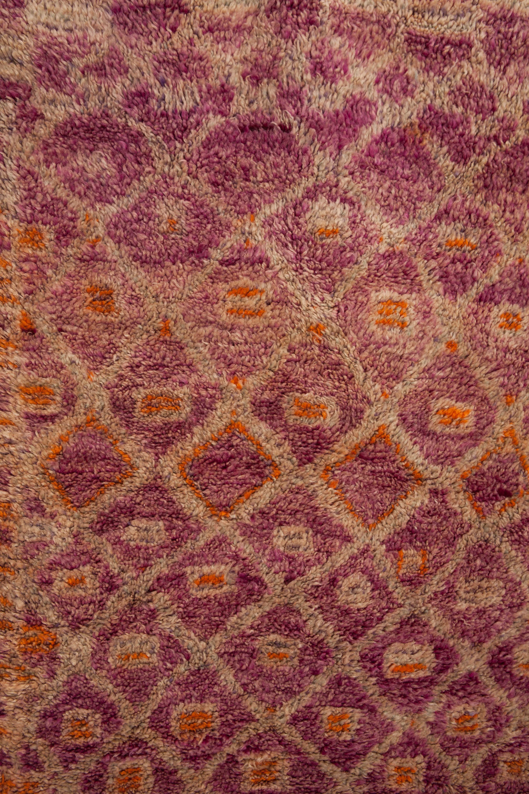 Ali_rugs_DEC-17.jpg