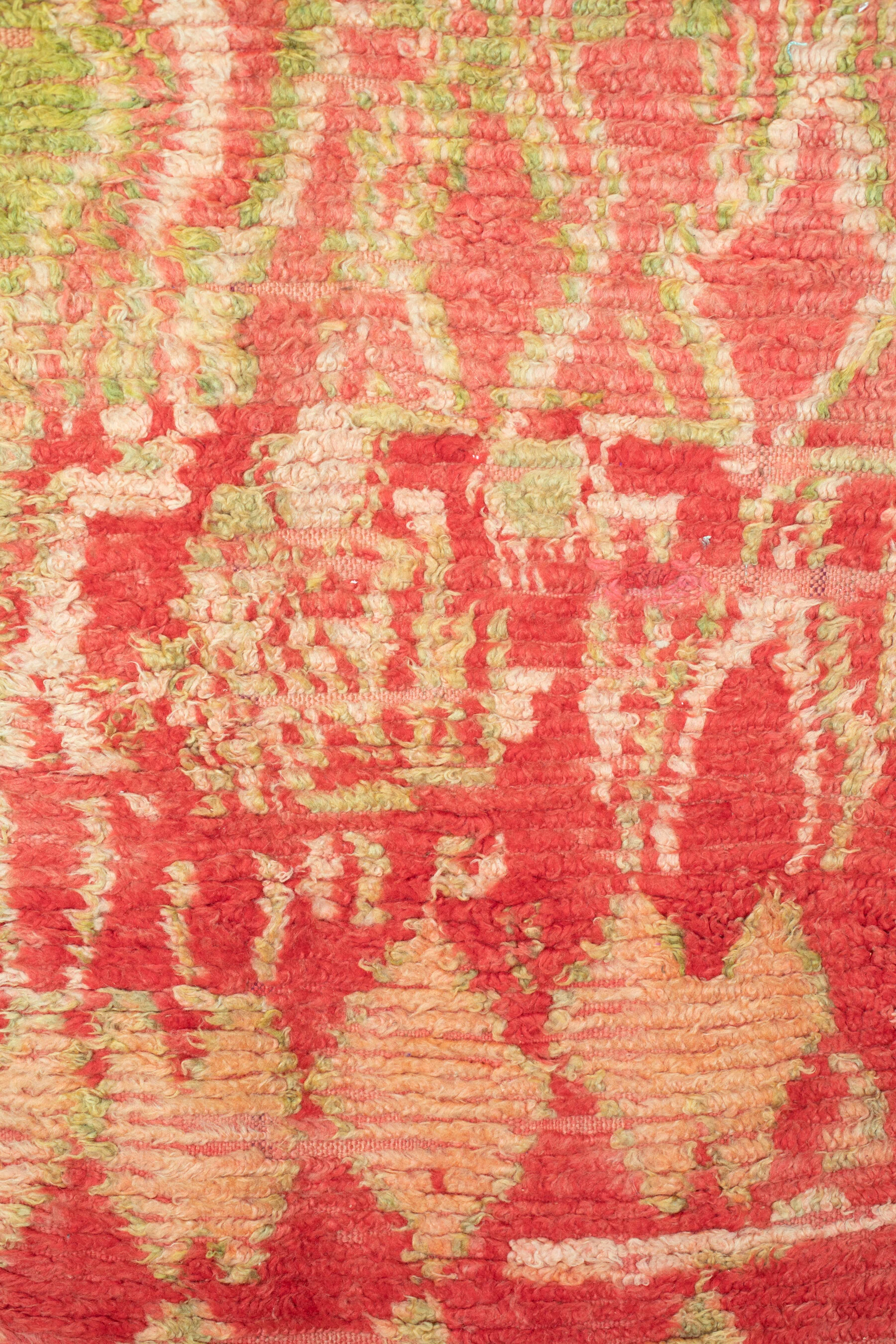 Ali_rug_inventory_August_2019_DougCupidPhotography-35.jpg