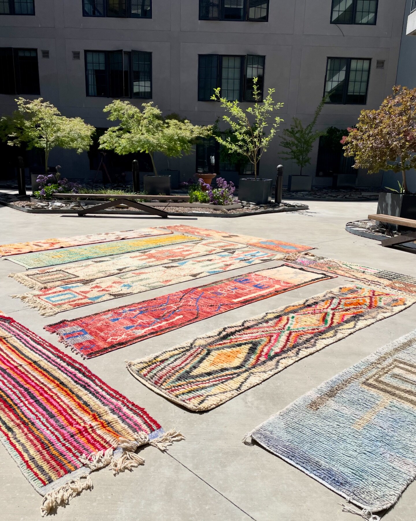 A collection of artful runners from Boujad getting some sunlight 🌞.
&bull;
#boujad #moroccanrugs #interiordesign #ruglove #berberrugs #handmaderugs #vintagerugs #contemporaryrugs #floorart #madeinmorocco #chichome #interiors