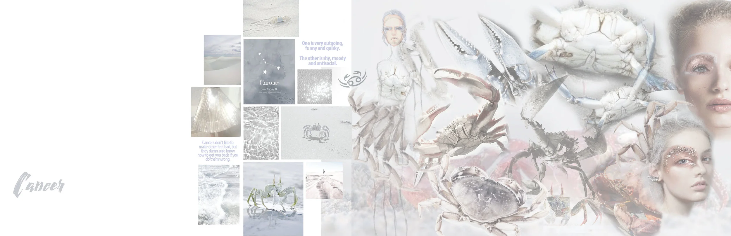 1 cover + mood board.jpg