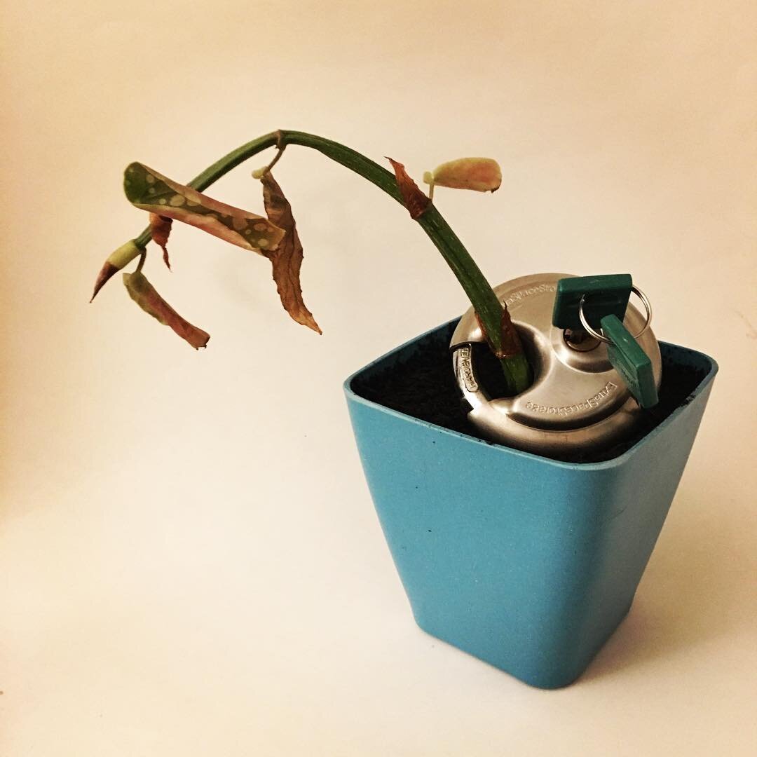 &quot;Day 3: Combine 2 things that you would not typically put together.&quot; Padlock and plant...maybe that's a new simile: &quot;those two fit together like a padlock and a plant.&quot; Okay, maybe not. #creativesprint #creativesprintday3 #day3 #3