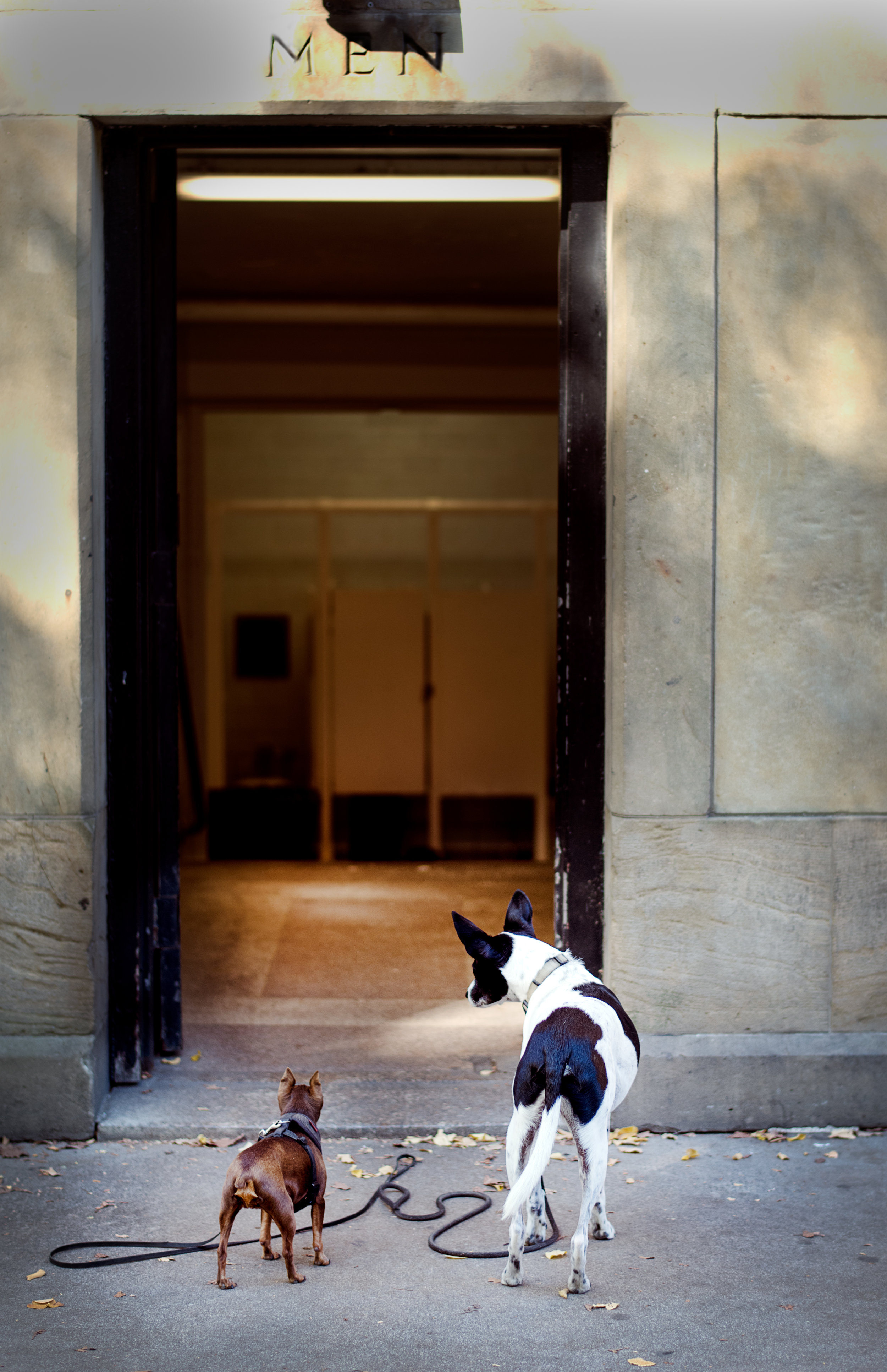 STREET-16.jpg